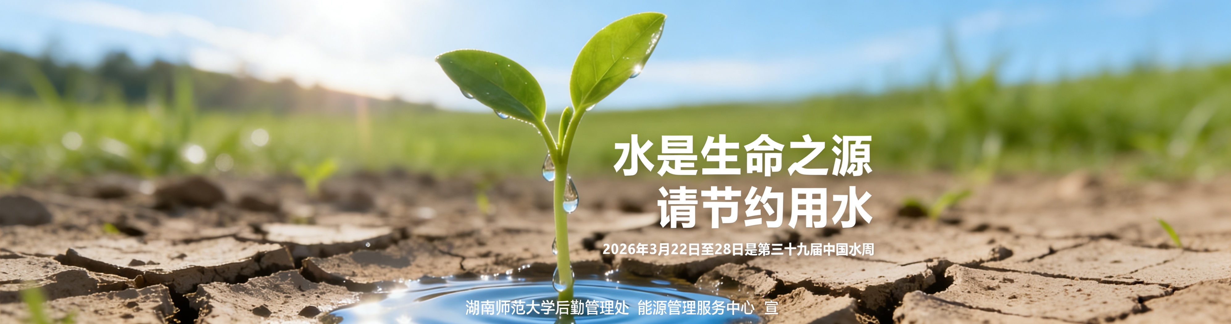 威廉希尔中文网站平台