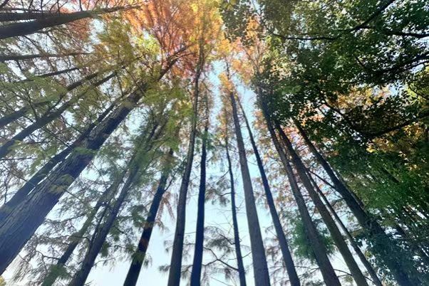 威廉希尔中文网站平台