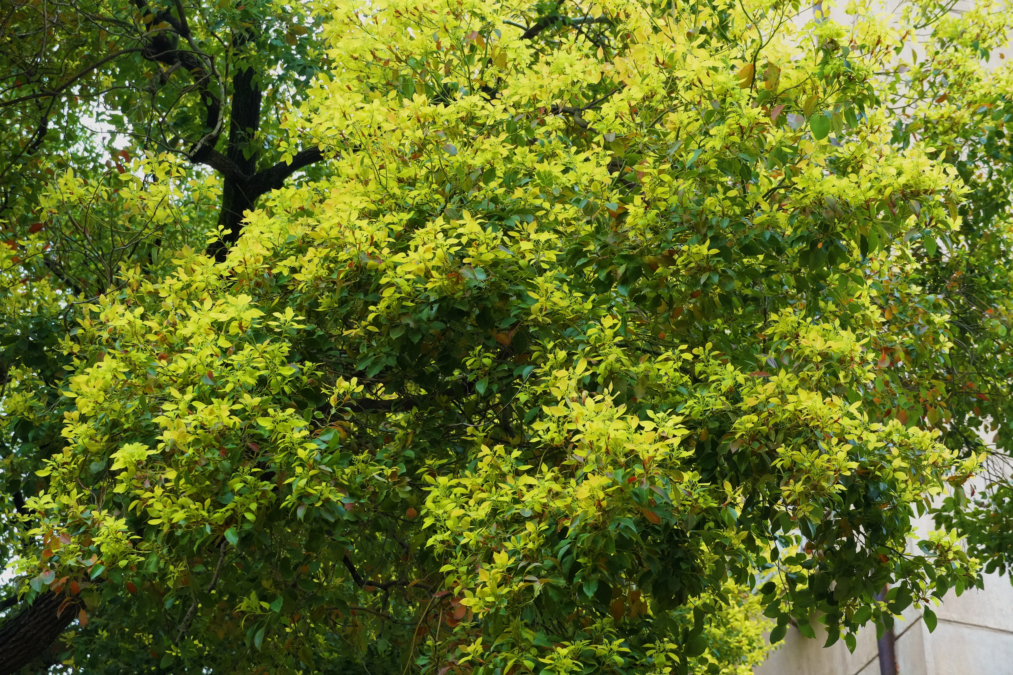 威廉希尔中文网站平台