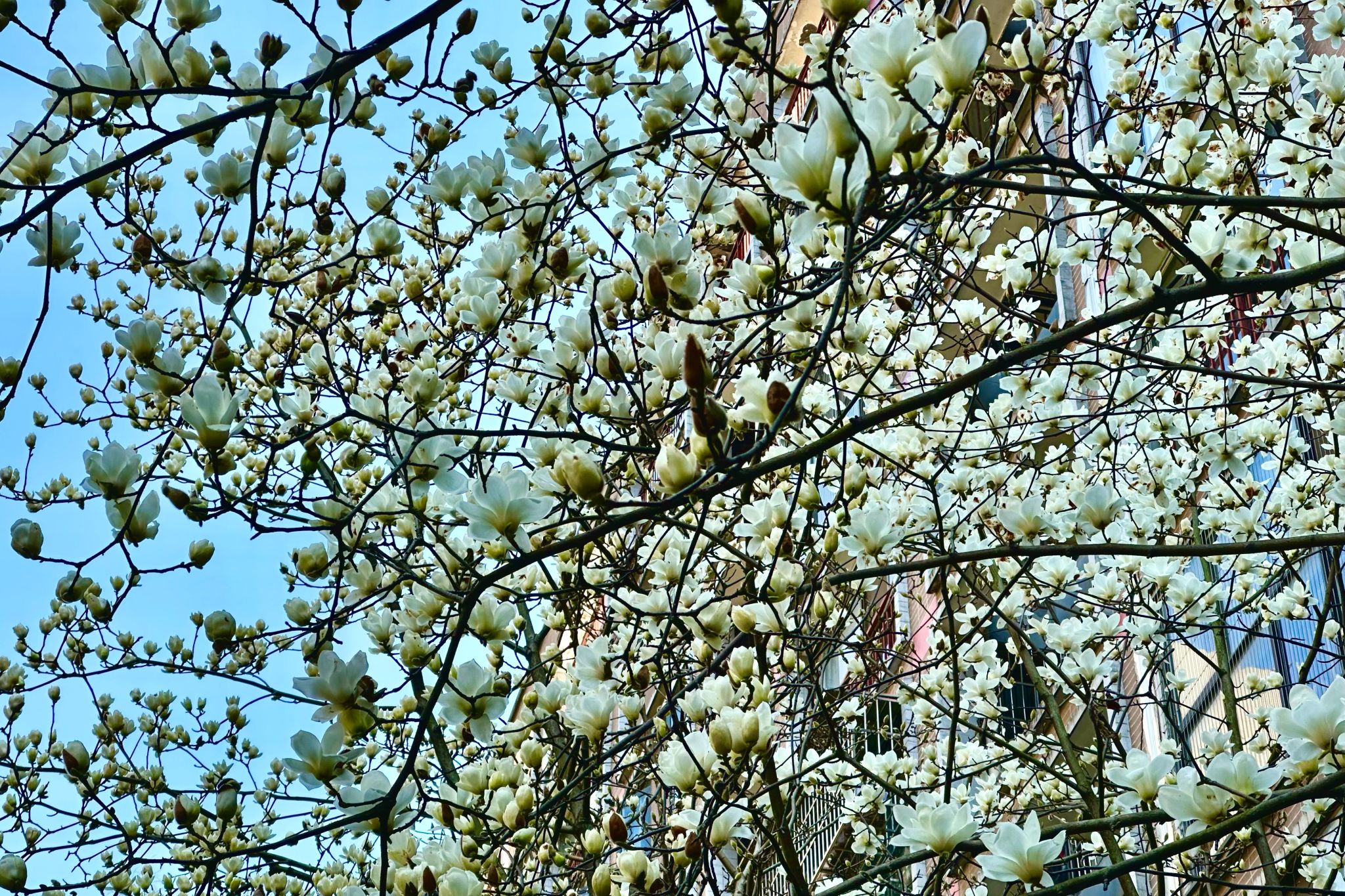 威廉希尔中文网站平台