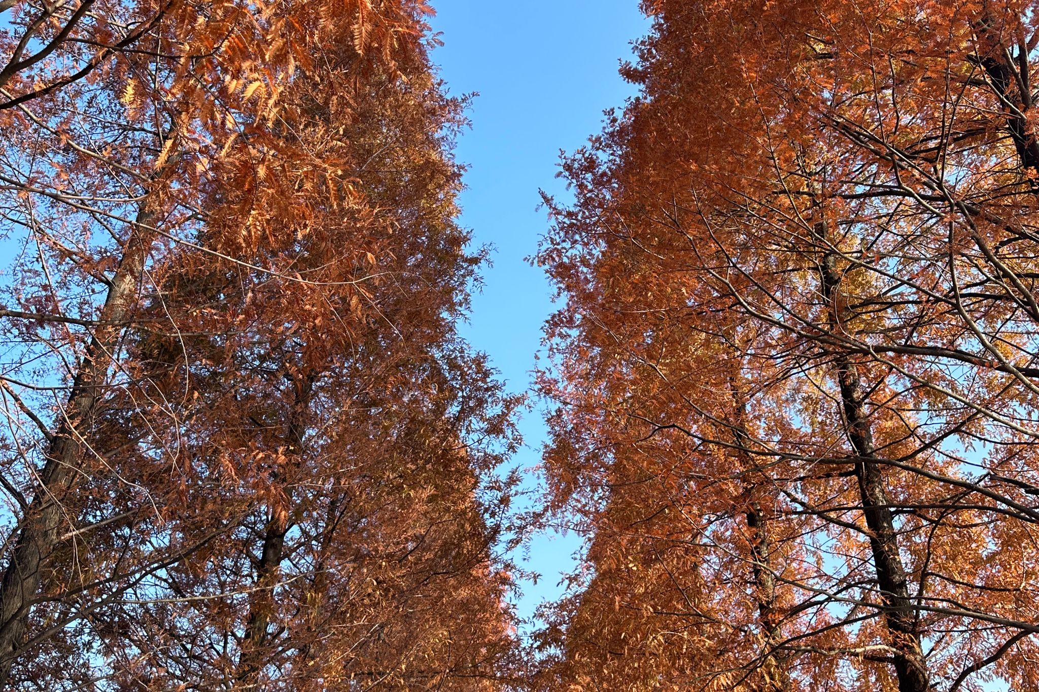 威廉希尔中文网站平台