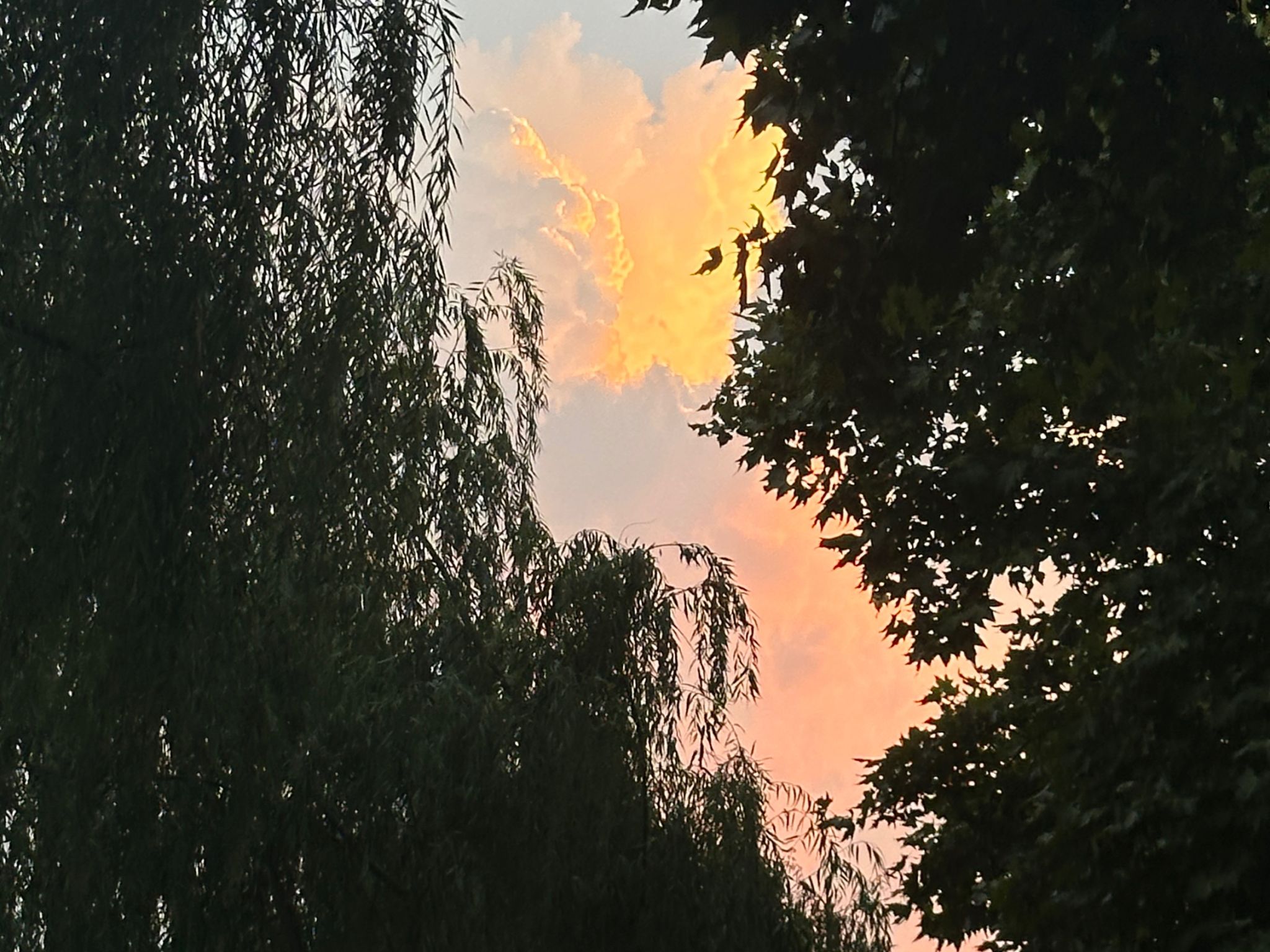 威廉希尔中文网站平台