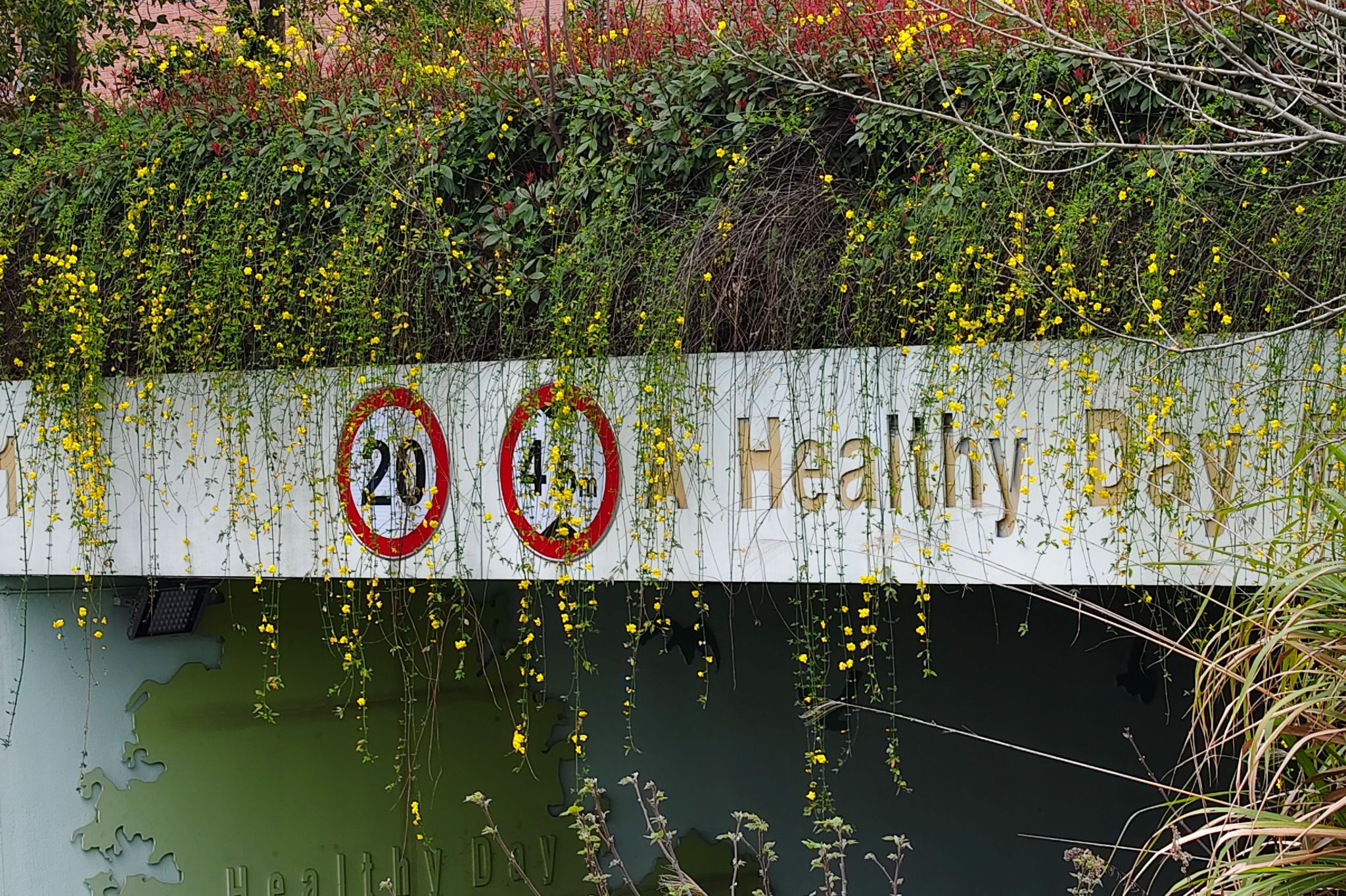 威廉希尔中文网站平台