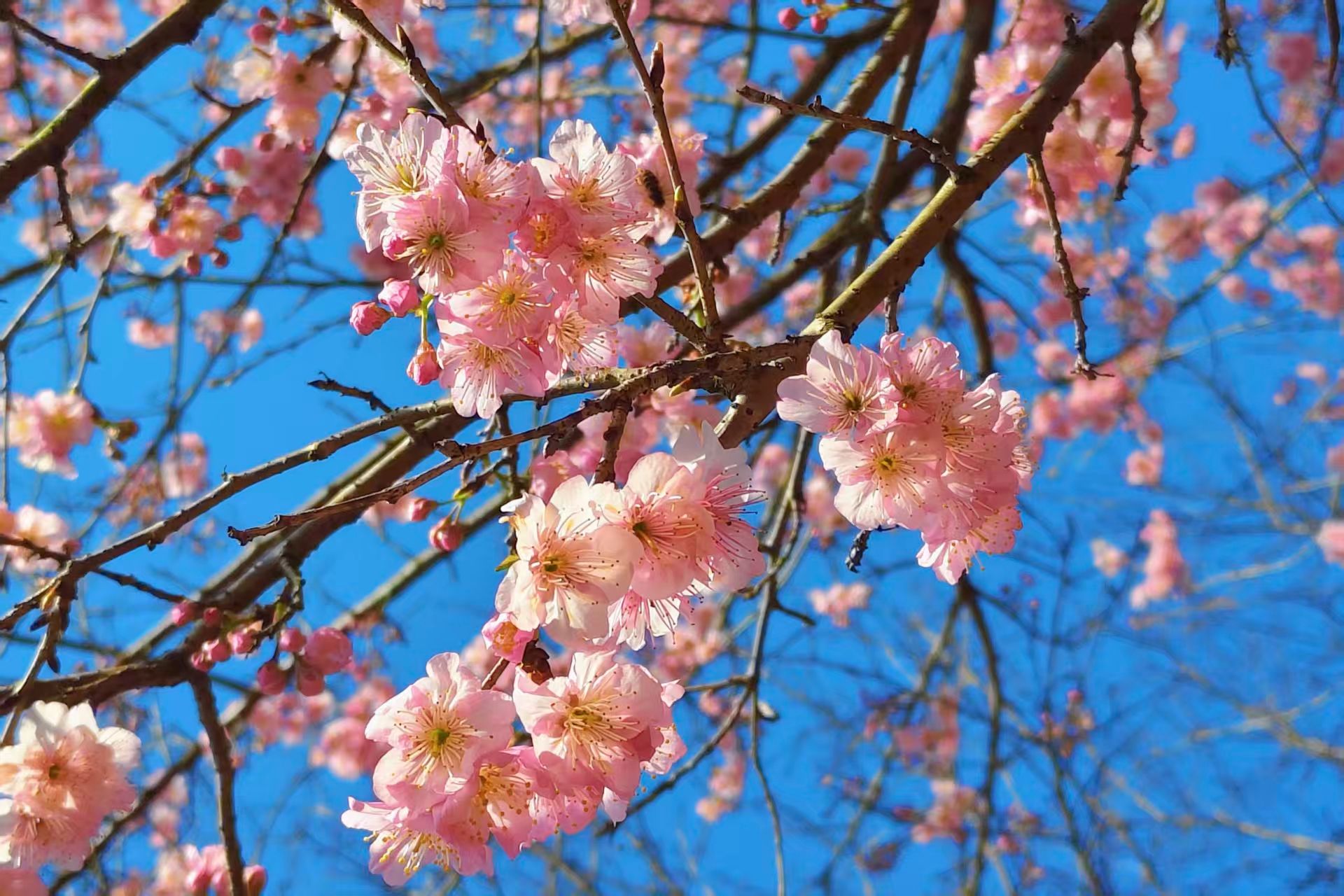 威廉希尔中文网站平台