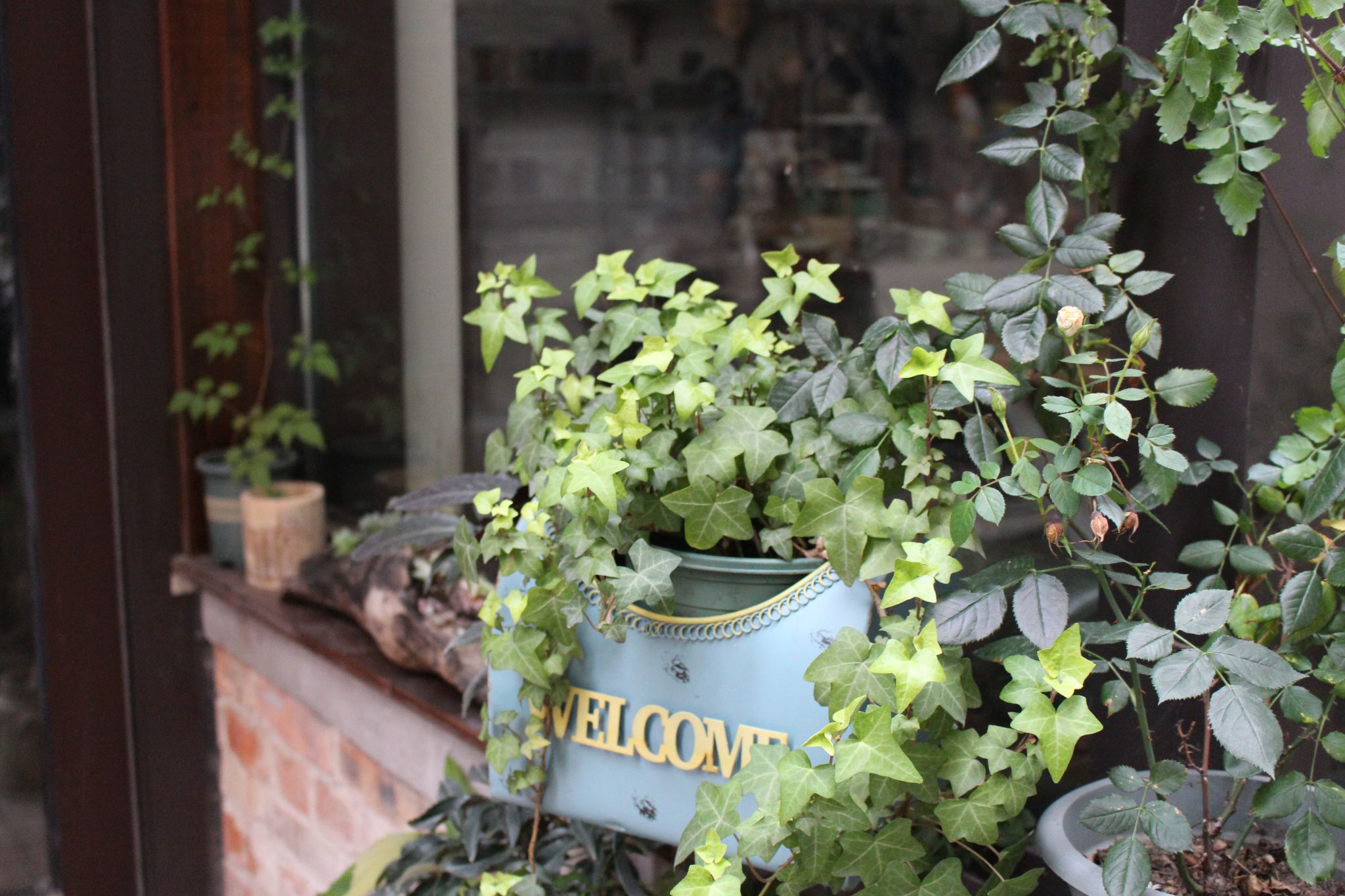 威廉希尔中文网站平台