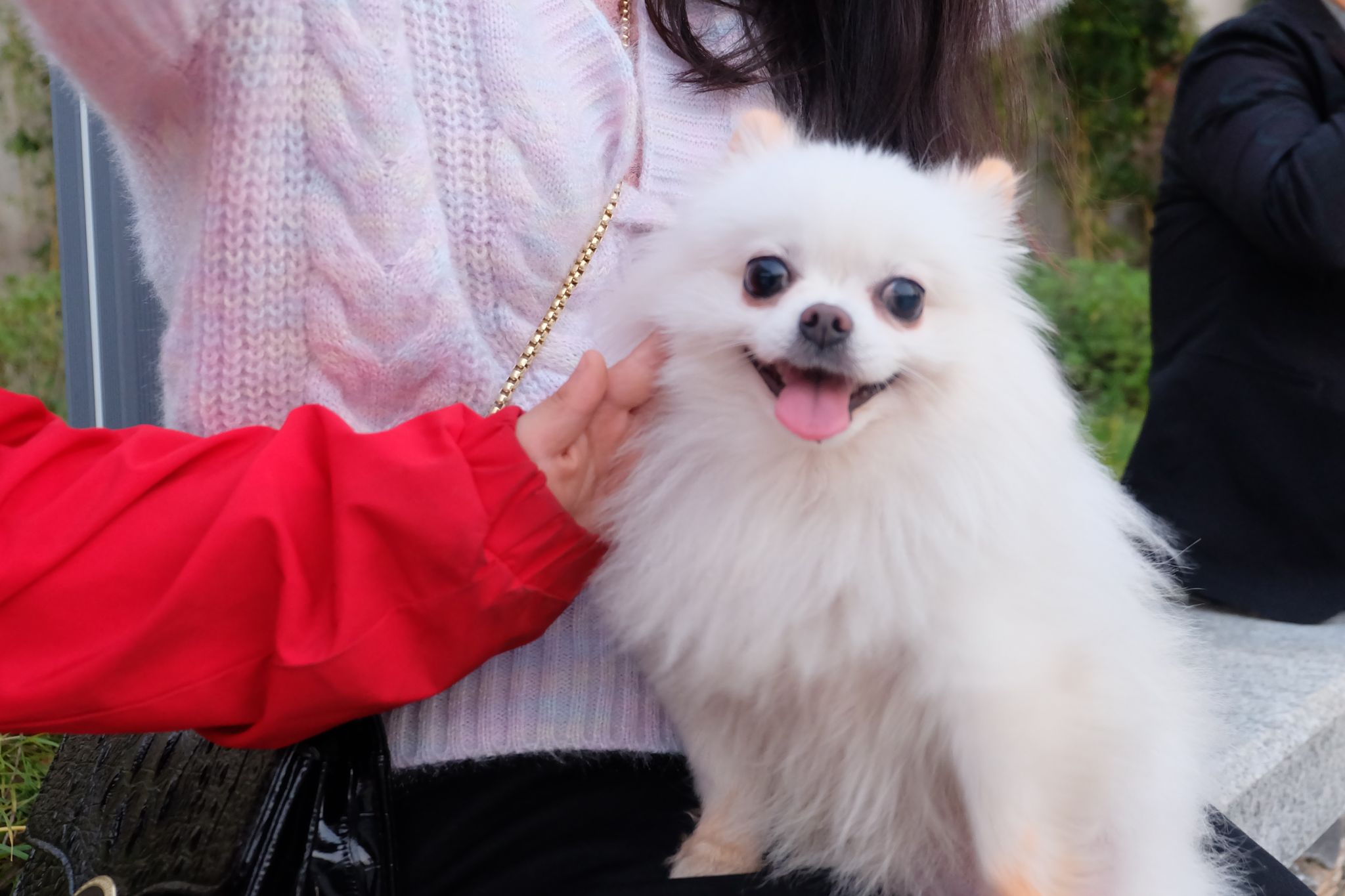 威廉希尔中文网站平台