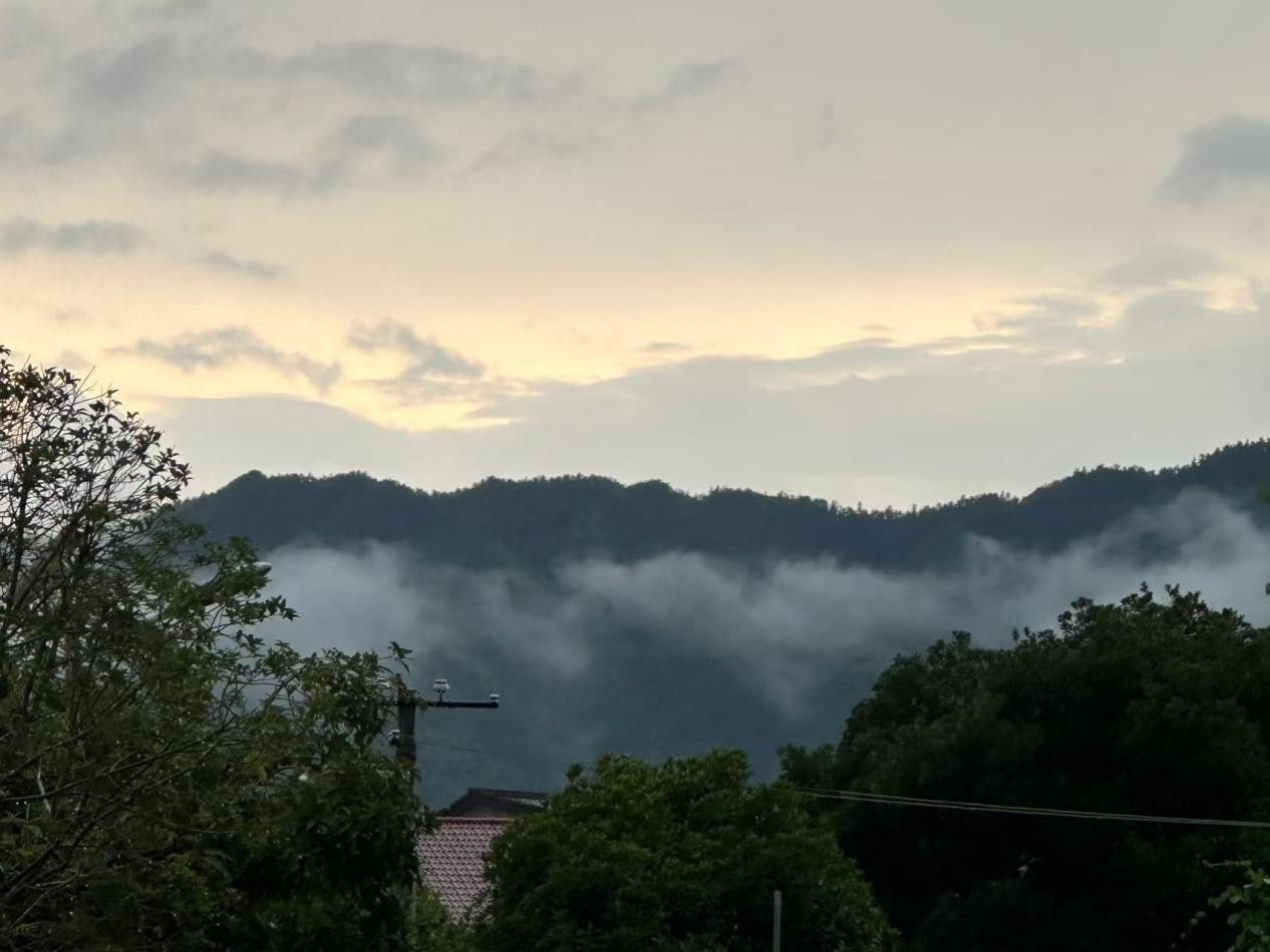 威廉希尔中文网站平台