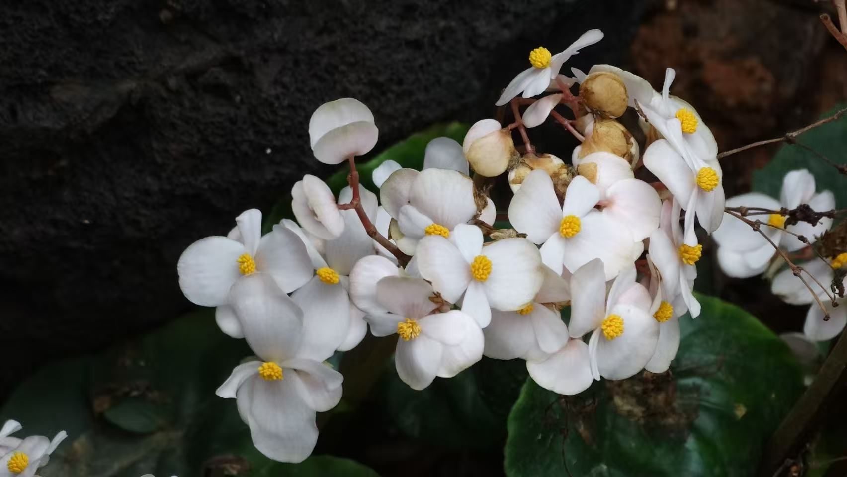 威廉希尔中文网站平台