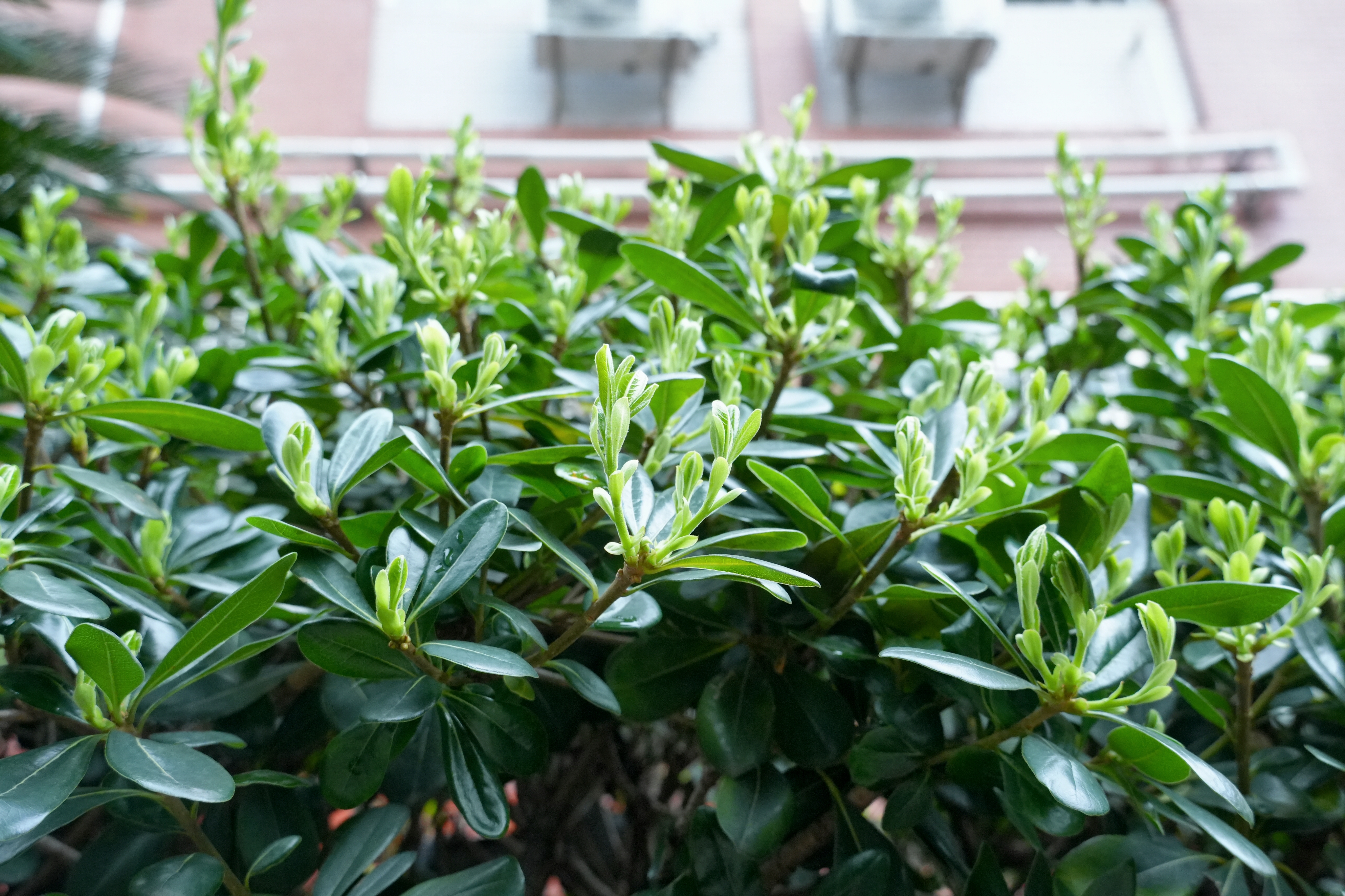 威廉希尔中文网站平台