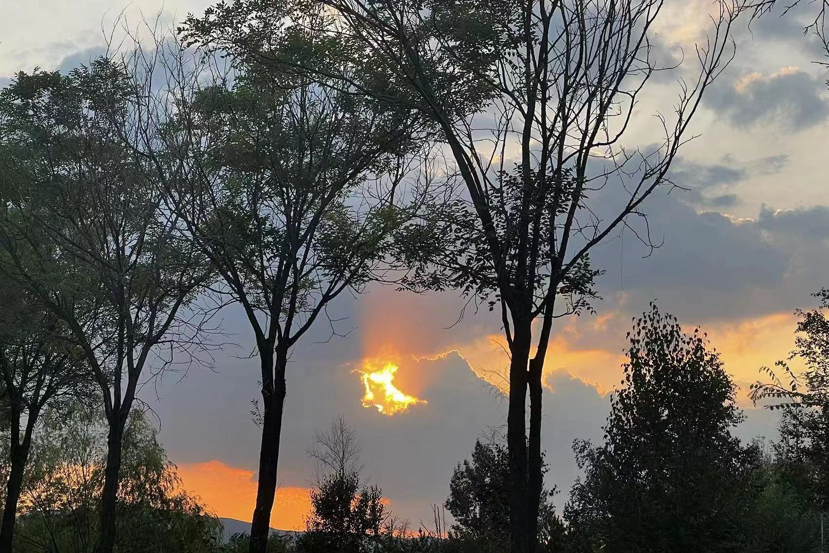 威廉希尔中文网站平台