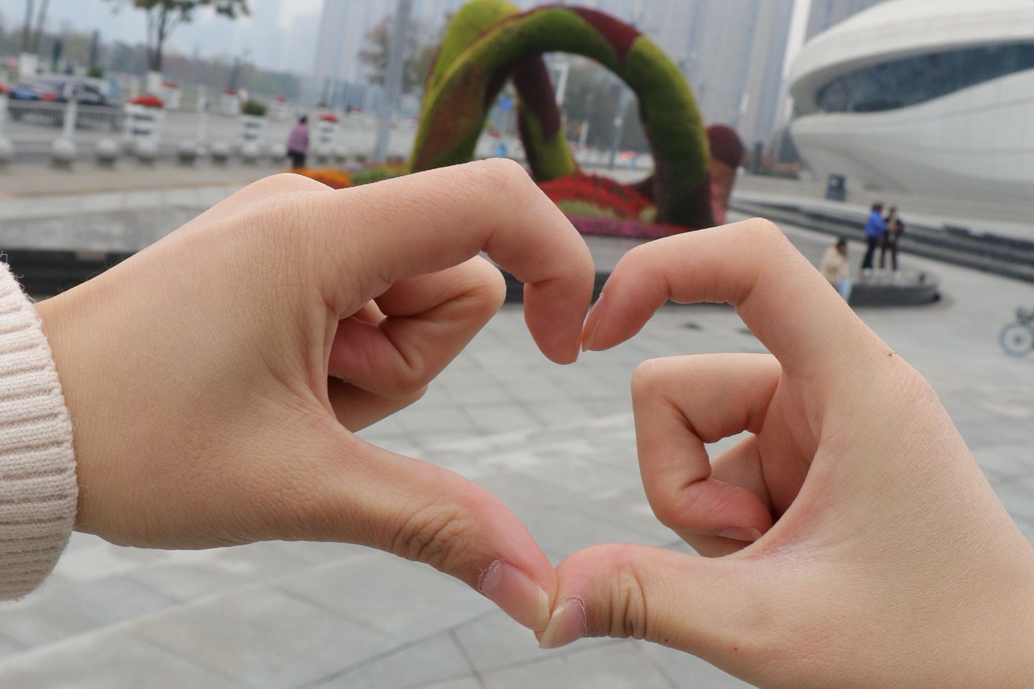 威廉希尔中文网站平台