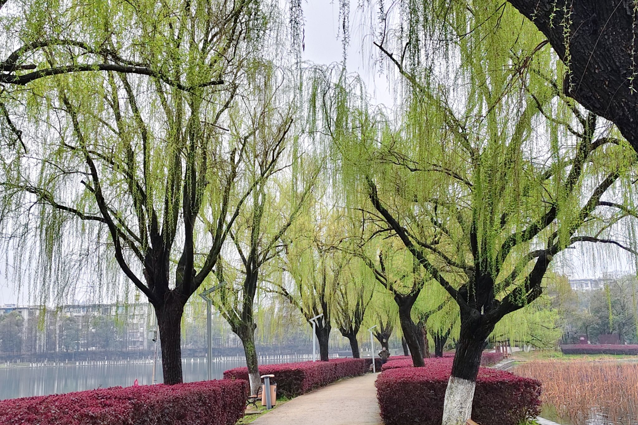 威廉希尔中文网站平台