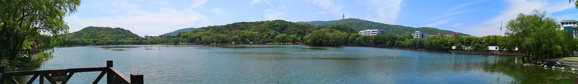 威廉希尔中文网站平台